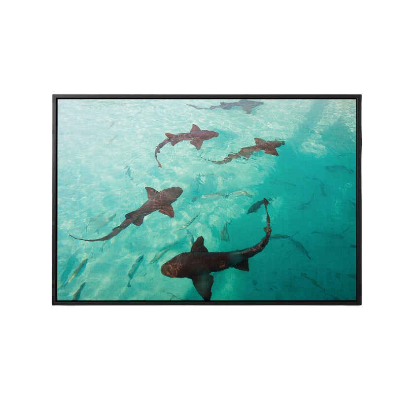 Discover Modern Photography Canvas Art, Inspirational Sea Ozean Shark Canvas Art by Greattness, The Shark Tank by Original Greattness™ Canvas Wall Art Print