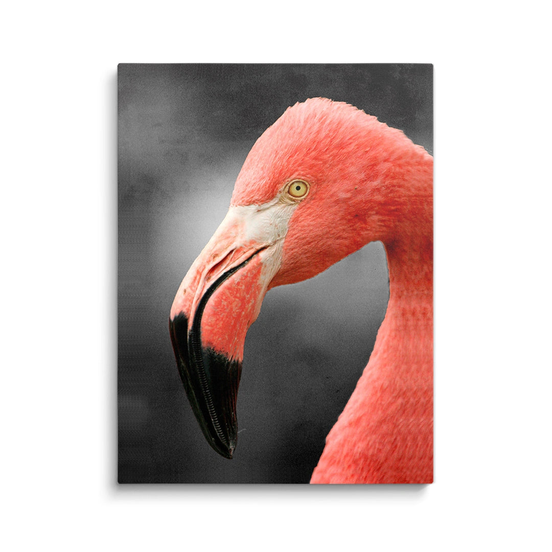 Discover Shop Flamingo Canvas Art, Pink Fabulous Flamingo Canvas Wall Art, Flamingo by Original Greattness™ Canvas Wall Art Print