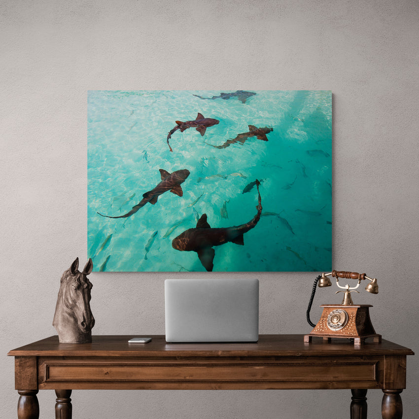 Discover Modern Photography Canvas Art, Inspirational Sea Ozean Shark Canvas Art by Greattness, The Shark Tank by Original Greattness™ Canvas Wall Art Print